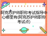 阿克苏护师职称考试指导中心哪里有(阿克苏护师职称考试点)
