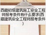 西藏初级建筑施工安全工程师报考条件有什么要求(西藏建筑安全工程师报考条件)