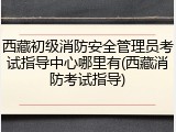 西藏初级消防安全管理员考试指导中心哪里有(西藏消防考试指导)