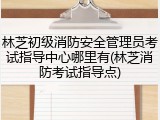 林芝初级消防安全管理员考试指导中心哪里有(林芝消防考试指导点)