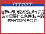 拉萨中级消防设施操作员怎么考需要什么条件(拉萨消防操作员报考条件)