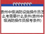 贵州中级消防设施操作员怎么考需要什么条件(贵州中级消防操作员报考条件)