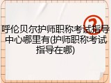 呼伦贝尔护师职称考试指导中心哪里有(护师职称考试指导在哪)