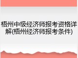 梧州中级经济师报考资格详解(梧州经济师报考条件)