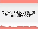 南宁审计师报考资格详解(南宁审计师报考指南)