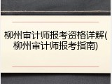 柳州审计师报考资格详解(柳州审计师报考指南)