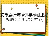 初级会计师培训学校哪里好(初级会计师培训推荐)