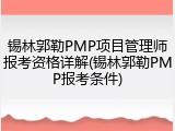 锡林郭勒PMP项目管理师报考资格详解(锡林郭勒PMP报考条件)