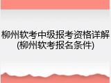 柳州软考中级报考资格详解(柳州软考报名条件)