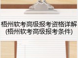 梧州软考高级报考资格详解(梧州软考高级报考条件)