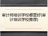 审计师培训学校哪里好(审计培训学校推荐)