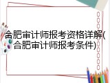 合肥审计师报考资格详解(合肥审计师报考条件)