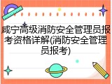 咸宁高级消防安全管理员报考资格详解(消防安全管理员报考)