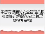 孝感高级消防安全管理员报考资格详解(消防安全管理员报考资格)
