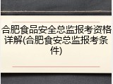 合肥食品安全总监报考资格详解(合肥食安总监报考条件)
