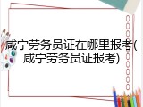 咸宁劳务员证在哪里报考(咸宁劳务员证报考)