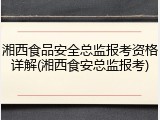 湘西食品安全总监报考资格详解(湘西食安总监报考)