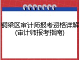 铜梁区审计师报考资格详解(审计师报考指南)