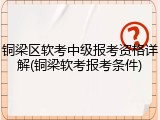 铜梁区软考中级报考资格详解(铜梁软考报考条件)