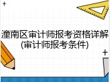 潼南区审计师报考资格详解(审计师报考条件)