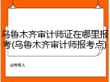乌鲁木齐审计师证在哪里报考(乌鲁木齐审计师报考点)