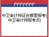 中卫审计师证在哪里报考(中卫审计师报考点)