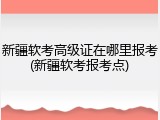 新疆软考高级证在哪里报考(新疆软考报考点)