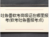 吐鲁番软考高级证在哪里报考(软考吐鲁番报考点)