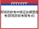 阿克苏软考中级证在哪里报考(阿克苏软考报考点)