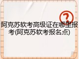 阿克苏软考高级证在哪里报考(阿克苏软考报名点)