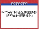 哈密审计师证在哪里报考(哈密审计师证报名)