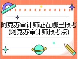 阿克苏审计师证在哪里报考(阿克苏审计师报考点)
