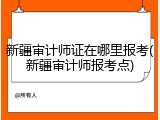 新疆审计师证在哪里报考(新疆审计师报考点)