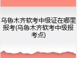 乌鲁木齐软考中级证在哪里报考(乌鲁木齐软考中级报考点)