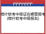 喀什软考中级证在哪里报考(喀什软考中级报名)