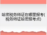 哈密税务师证在哪里报考(税务师证哈密报考点)