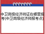 中卫高级经济师证在哪里报考(中卫高级经济师报考点)