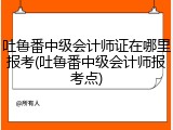 吐鲁番中级会计师证在哪里报考(吐鲁番中级会计师报考点)