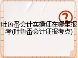 吐鲁番会计实操证在哪里报考(吐鲁番会计证报考点)