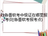 吐鲁番软考中级证在哪里报考(吐鲁番软考报考点)