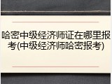 哈密中级经济师证在哪里报考(中级经济师哈密报考)