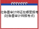 吐鲁番审计师证在哪里报考(吐鲁番审计师报考点)
