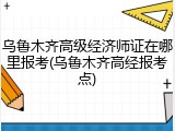 乌鲁木齐高级经济师证在哪里报考(乌鲁木齐高经报考点)
