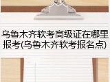 乌鲁木齐软考高级证在哪里报考(乌鲁木齐软考报名点)