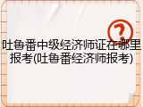吐鲁番中级经济师证在哪里报考(吐鲁番经济师报考)