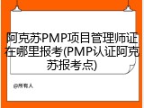 阿克苏PMP项目管理师证在哪里报考(PMP认证阿克苏报考点)