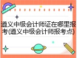 遵义中级会计师证在哪里报考(遵义中级会计师报考点)