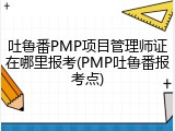 吐鲁番PMP项目管理师证在哪里报考(PMP吐鲁番报考点)