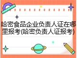 哈密食品企业负责人证在哪里报考(哈密负责人证报考)