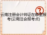 云南注册会计师证在哪里报考(云南注会报考点)